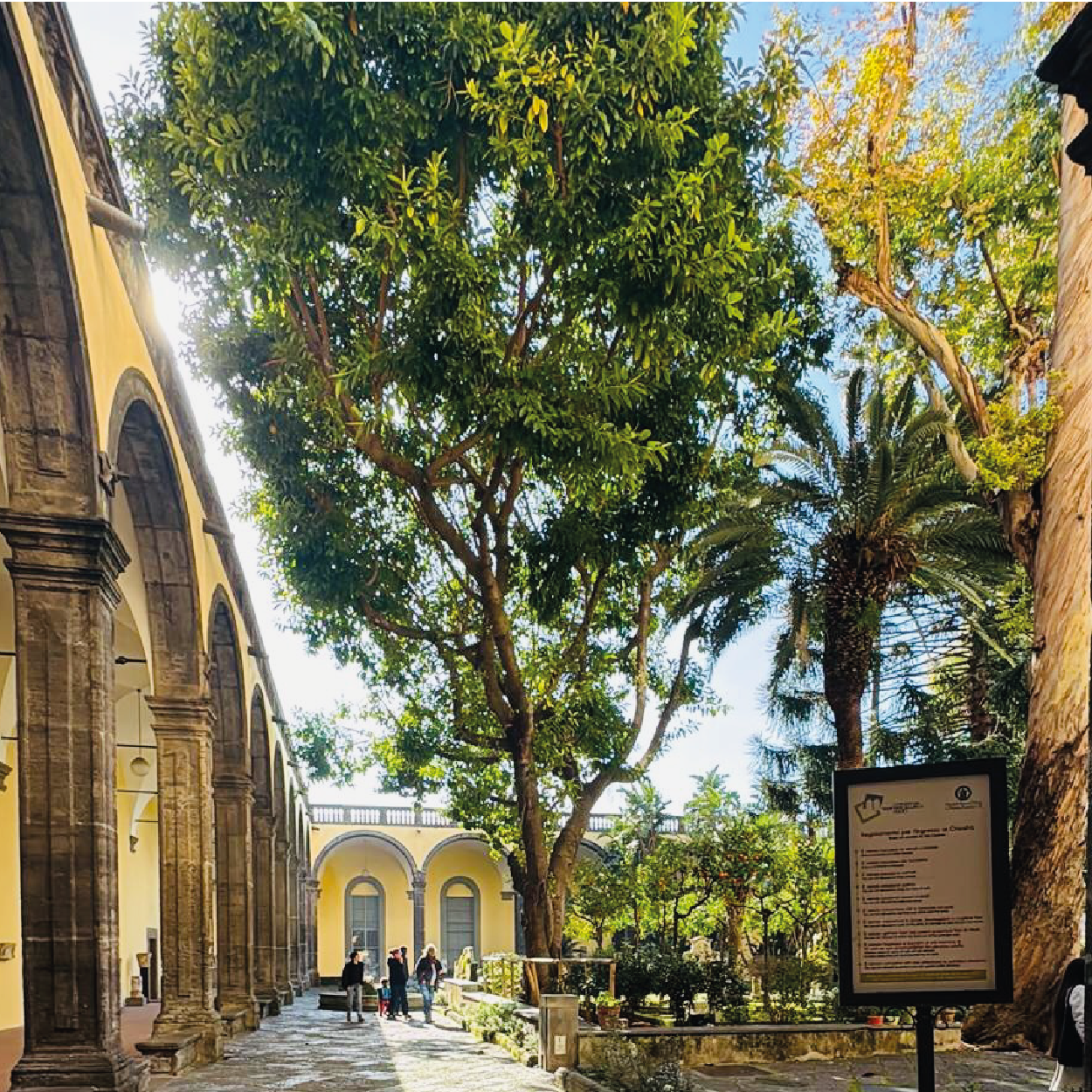 Foto carosello_Venue-04